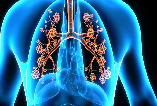 Respiratory physiology